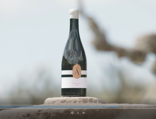 SINGULAR D’ÀMFORA BLANC 2017