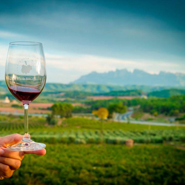 Club de Vins Collbaix El Celler